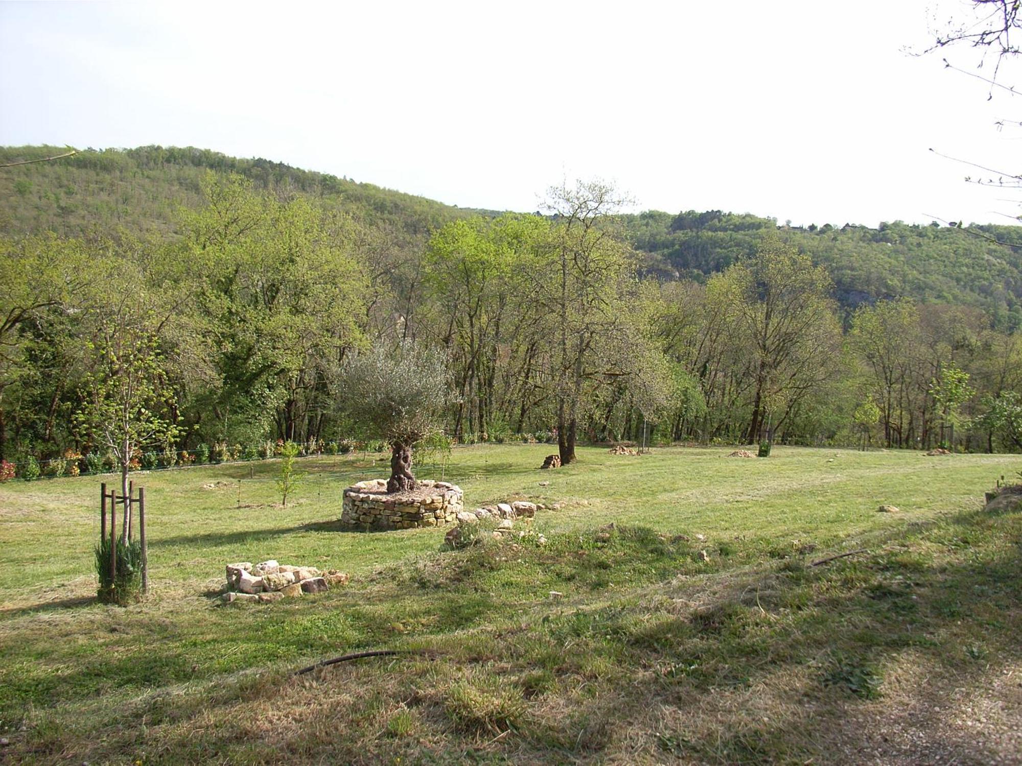 Studio aux Eyzies au coeur de la vallée de l'homme Les Eyzies Exterior foto