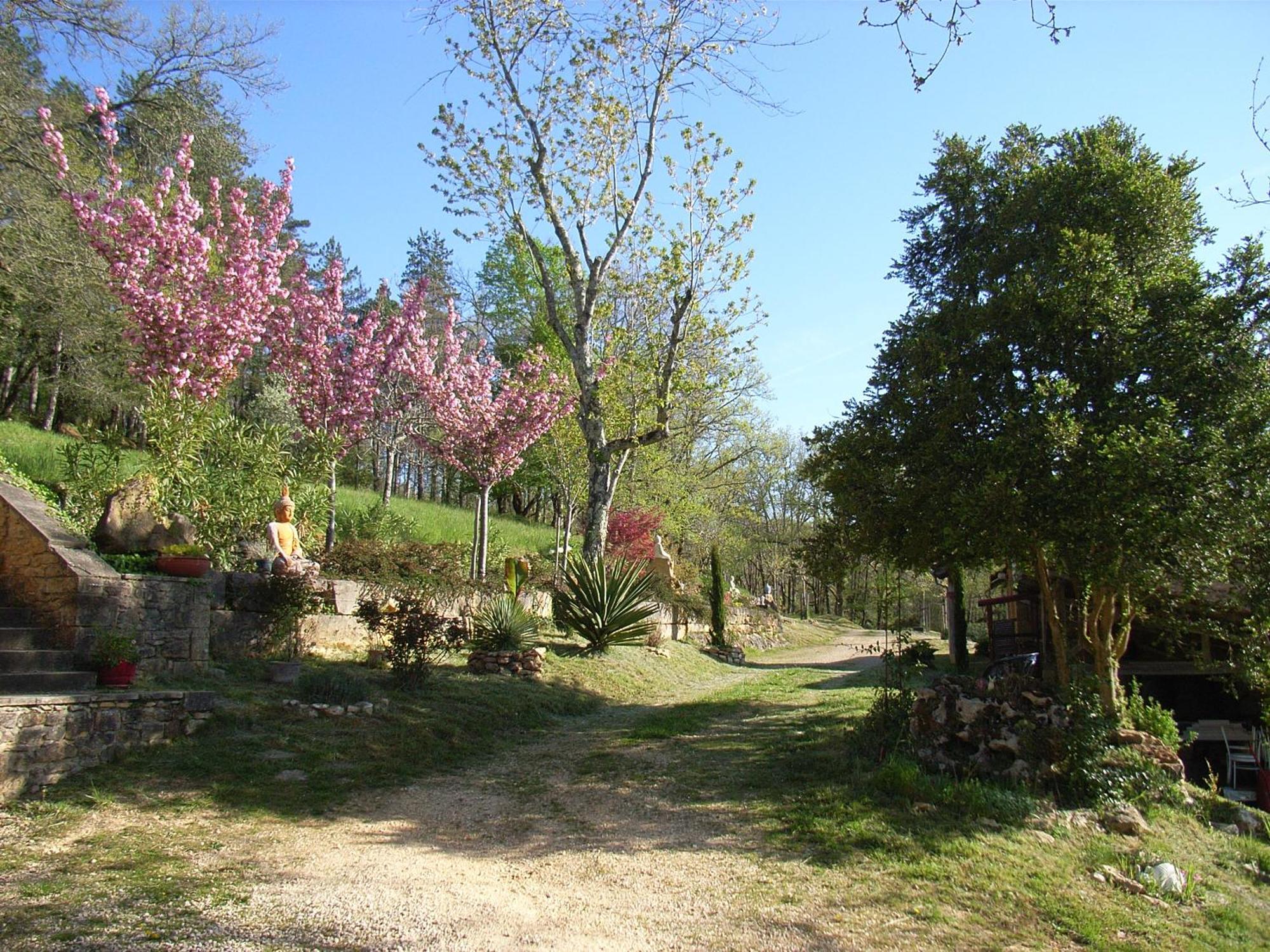 Studio aux Eyzies au coeur de la vallée de l'homme Les Eyzies Exterior foto
